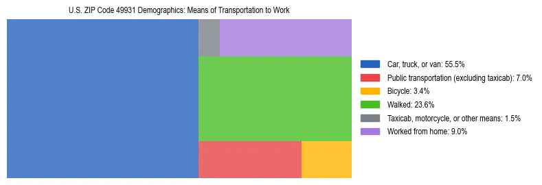 Treemap showing means of transportation to work distribution in US ZIP Code 49931.