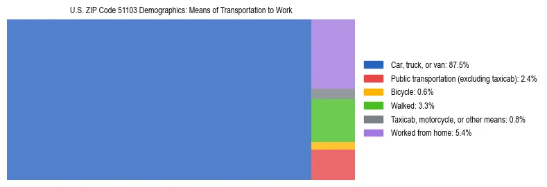 Treemap showing means of transportation to work distribution in US ZIP Code 51103.