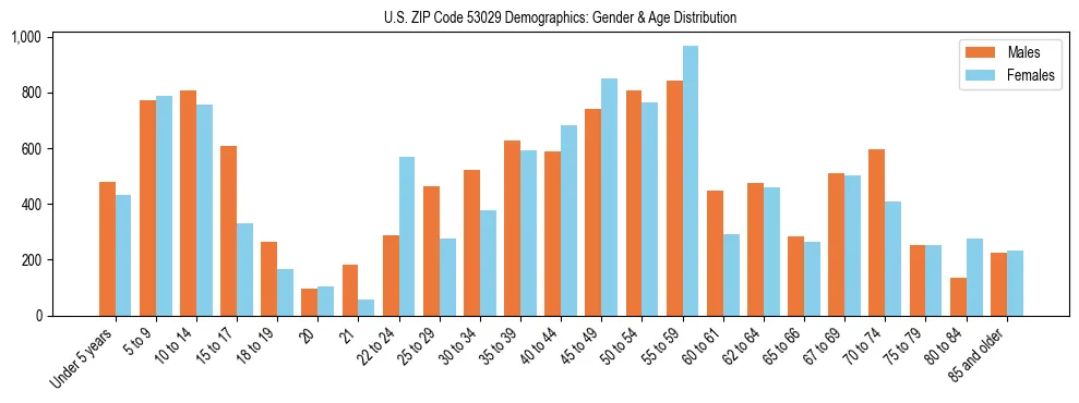Bar chart showing the population distribution of US ZIP Code 53029 by age group and gender, based on 2023 ACS data.