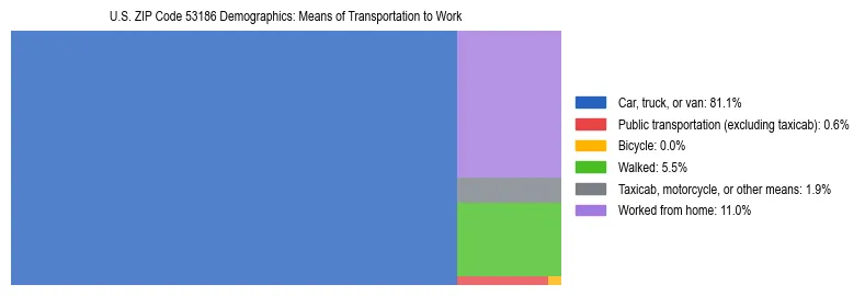 Treemap showing means of transportation to work distribution in US ZIP Code 53186.