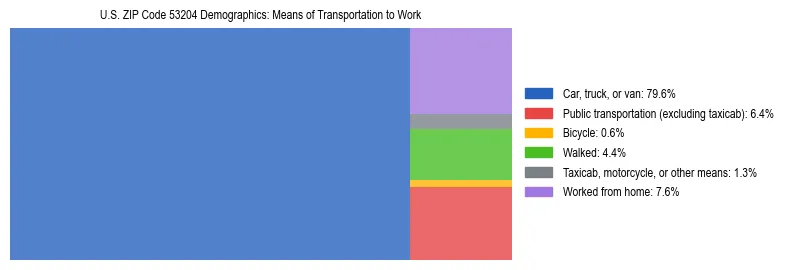 Treemap showing means of transportation to work distribution in US ZIP Code 53204.