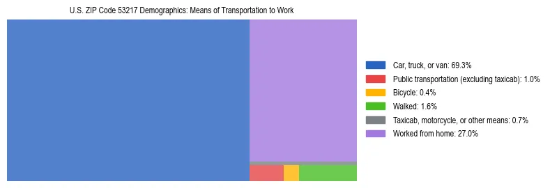 Treemap showing means of transportation to work distribution in US ZIP Code 53217.
