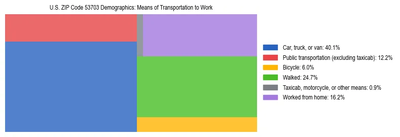 Treemap showing means of transportation to work distribution in US ZIP Code 53703.