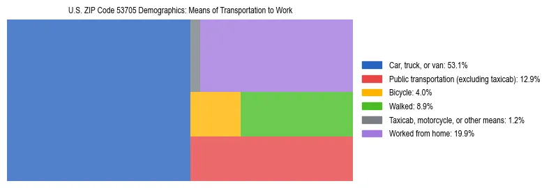 Treemap showing means of transportation to work distribution in US ZIP Code 53705.