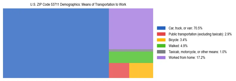 Treemap showing means of transportation to work distribution in US ZIP Code 53711.