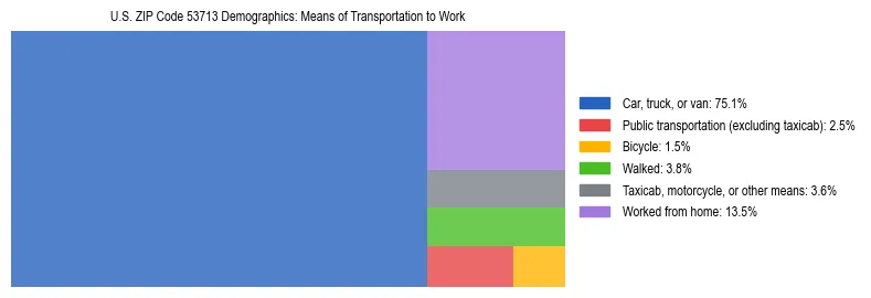 Treemap showing means of transportation to work distribution in US ZIP Code 53713.