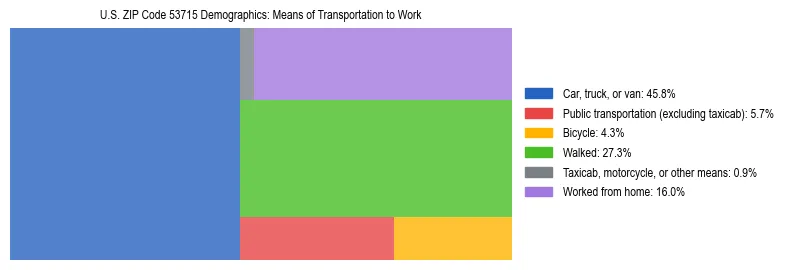 Treemap showing means of transportation to work distribution in US ZIP Code 53715.