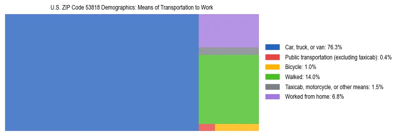 Treemap showing means of transportation to work distribution in US ZIP Code 53818.