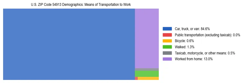 Treemap showing means of transportation to work distribution in US ZIP Code 54913.