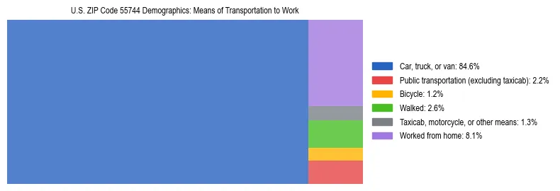 Treemap showing means of transportation to work distribution in US ZIP Code 55744.
