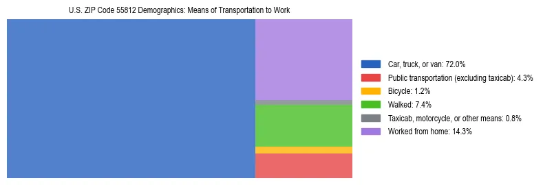 Treemap showing means of transportation to work distribution in US ZIP Code 55812.