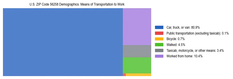 Treemap showing means of transportation to work distribution in US ZIP Code 56258.