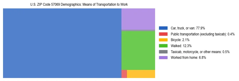 Treemap showing means of transportation to work distribution in US ZIP Code 57069.