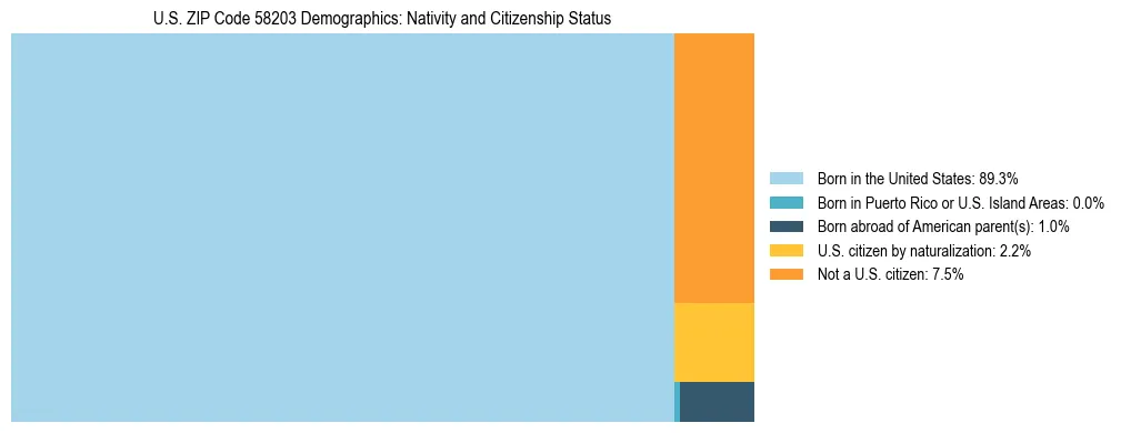 Treemap showing the population distribution by nativity and citizenship status in US ZIP Code 58203 based on U.S. Census data.