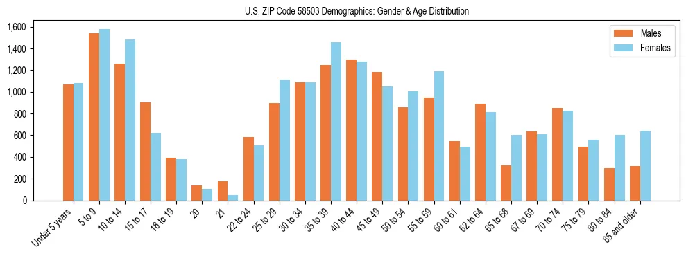 Bar chart showing the population distribution of US ZIP Code 58503 by age group and gender, based on 2023 ACS data.