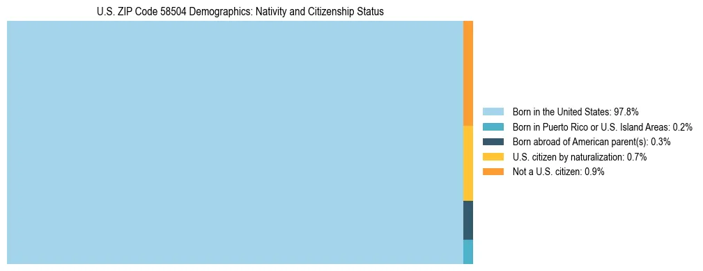 Treemap showing the population distribution by nativity and citizenship status in US ZIP Code 58504 based on U.S. Census data.