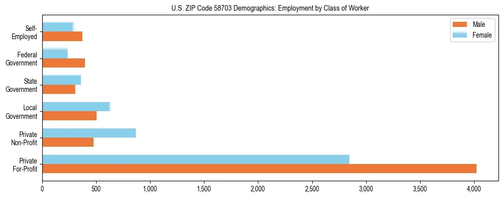 Horizontal bar chart showing employment distribution by class of worker and gender in US ZIP Code 58703, based on 2023 ACS data.