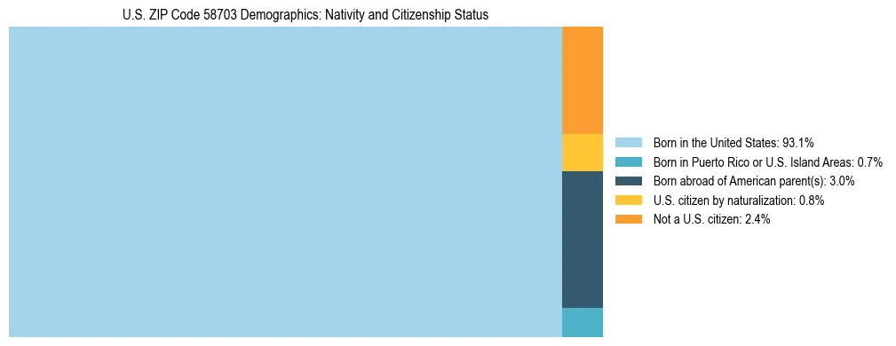 Treemap showing the population distribution by nativity and citizenship status in US ZIP Code 58703 based on U.S. Census data.