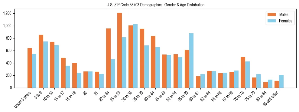 Bar chart showing the population distribution of US ZIP Code 58703 by age group and gender, based on 2023 ACS data.