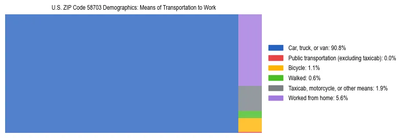 Treemap showing means of transportation to work distribution in US ZIP Code 58703.