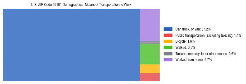 Treemap showing means of transportation to work distribution in US ZIP Code 59101.