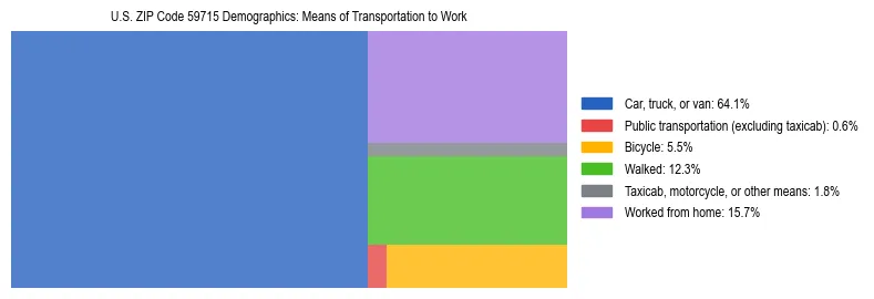 Treemap showing means of transportation to work distribution in US ZIP Code 59715.