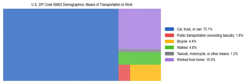 Treemap showing means of transportation to work distribution in US ZIP Code 59802.