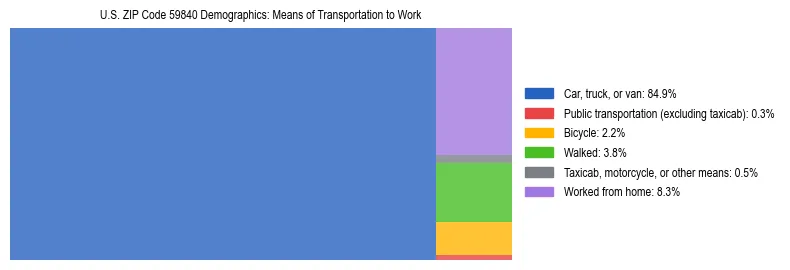Treemap showing means of transportation to work distribution in US ZIP Code 59840.