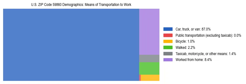 Treemap showing means of transportation to work distribution in US ZIP Code 59860.