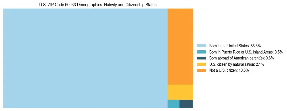 Treemap showing the population distribution by nativity and citizenship status in US ZIP Code 60033 based on U.S. Census data.