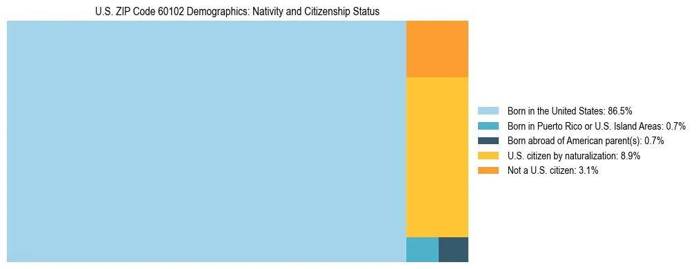 Treemap showing the population distribution by nativity and citizenship status in US ZIP Code 60102 based on U.S. Census data.