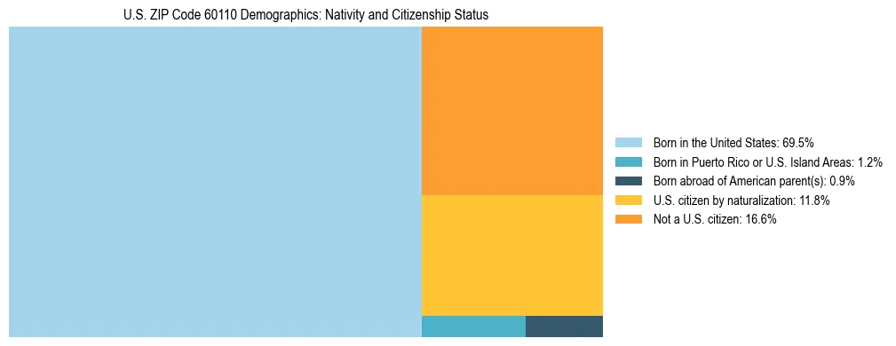 Treemap showing the population distribution by nativity and citizenship status in US ZIP Code 60110 based on U.S. Census data.