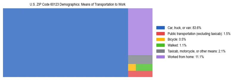 Treemap showing means of transportation to work distribution in US ZIP Code 60123.