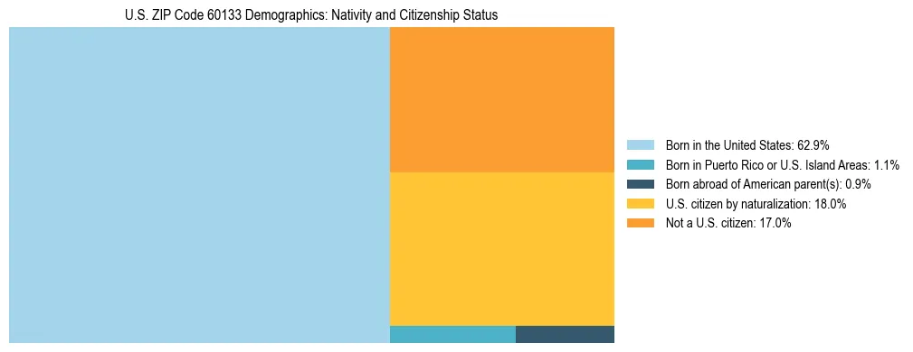 Treemap showing the population distribution by nativity and citizenship status in US ZIP Code 60133 based on U.S. Census data.