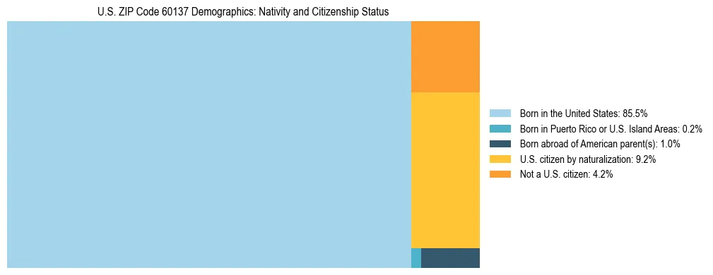 Treemap showing the population distribution by nativity and citizenship status in US ZIP Code 60137 based on U.S. Census data.