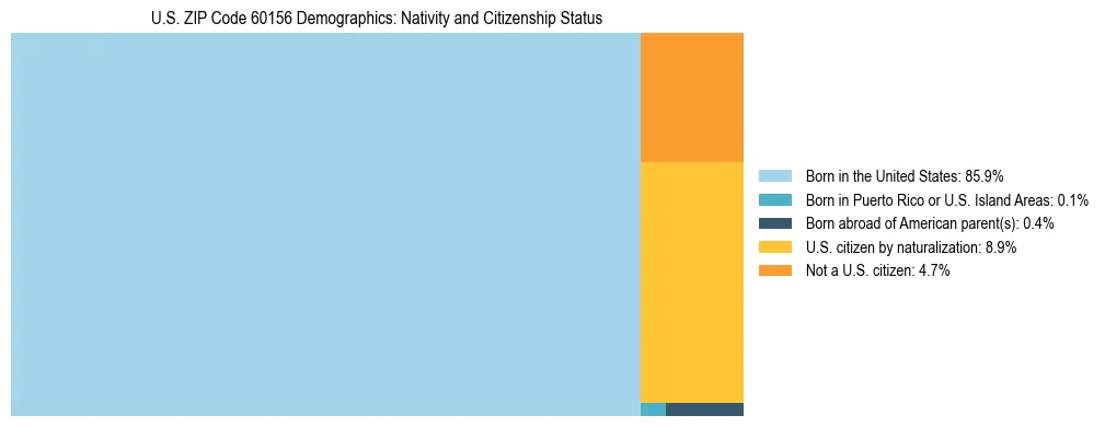 Treemap showing the population distribution by nativity and citizenship status in US ZIP Code 60156 based on U.S. Census data.