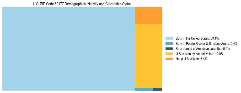 Treemap showing the population distribution by nativity and citizenship status in US ZIP Code 60177 based on U.S. Census data.