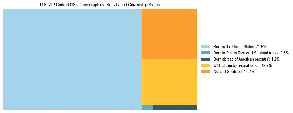 Treemap showing the population distribution by nativity and citizenship status in US ZIP Code 60185 based on U.S. Census data.