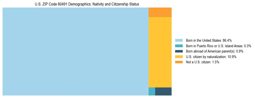 Treemap showing the population distribution by nativity and citizenship status in US ZIP Code 60491 based on U.S. Census data.