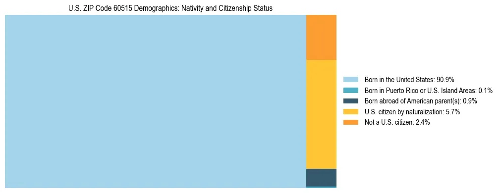 Treemap showing the population distribution by nativity and citizenship status in US ZIP Code 60515 based on U.S. Census data.