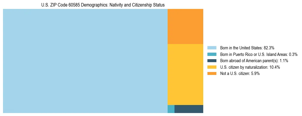Treemap showing the population distribution by nativity and citizenship status in US ZIP Code 60585 based on U.S. Census data.