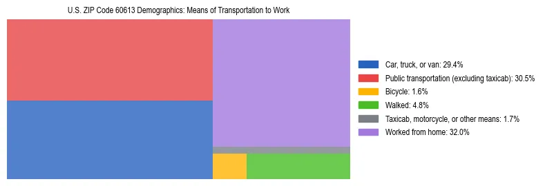 Treemap showing means of transportation to work distribution in US ZIP Code 60613.