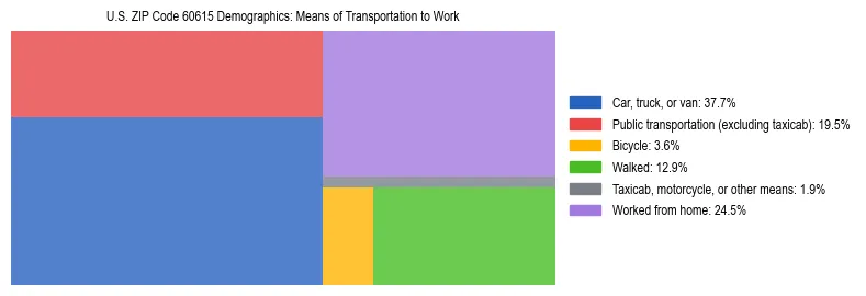 Treemap showing means of transportation to work distribution in US ZIP Code 60615.