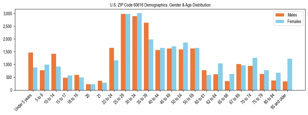 Bar chart showing the population distribution of US ZIP Code 60616 by age group and gender, based on 2023 ACS data.