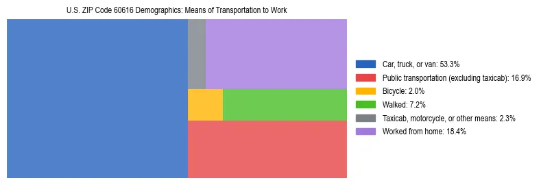 Treemap showing means of transportation to work distribution in US ZIP Code 60616.