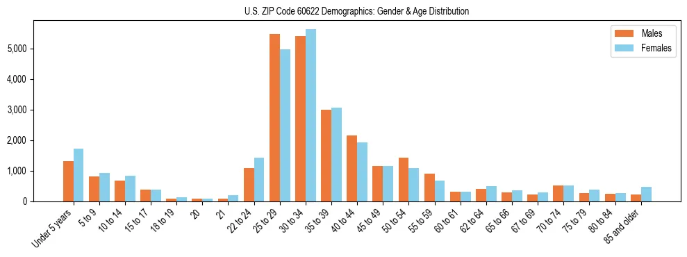 Bar chart showing the population distribution of US ZIP Code 60622 by age group and gender, based on 2023 ACS data.