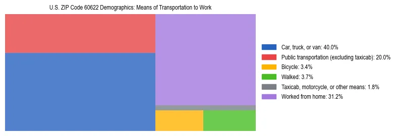 Treemap showing means of transportation to work distribution in US ZIP Code 60622.