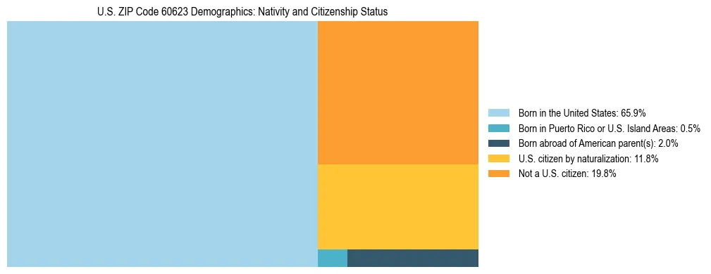 Treemap showing the population distribution by nativity and citizenship status in US ZIP Code 60623 based on U.S. Census data.
