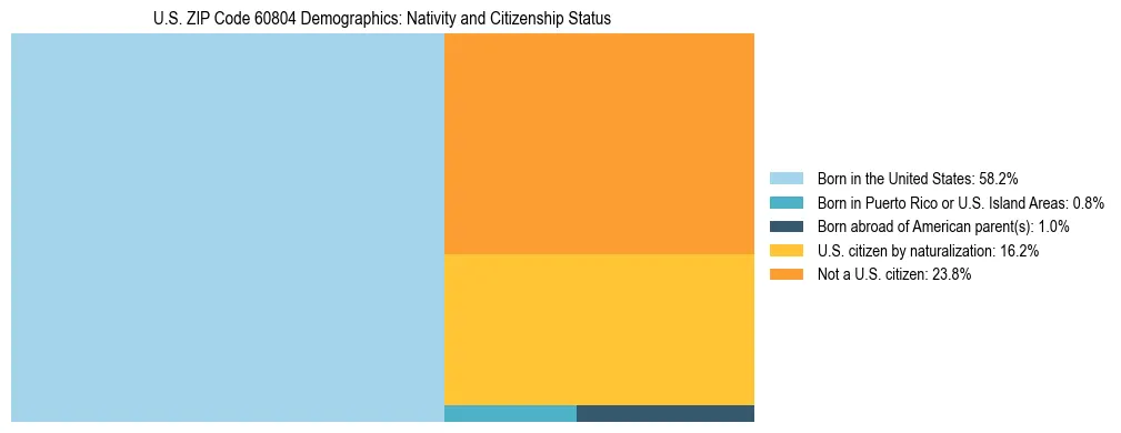 Treemap showing the population distribution by nativity and citizenship status in US ZIP Code 60804 based on U.S. Census data.