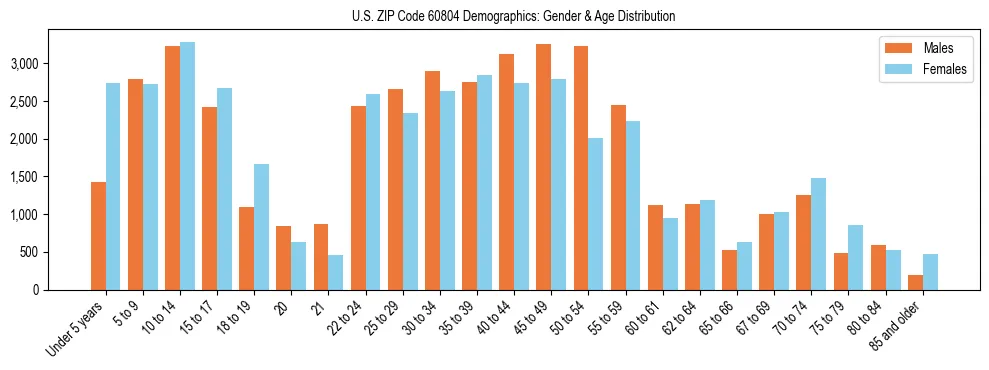 Bar chart showing the population distribution of US ZIP Code 60804 by age group and gender, based on 2023 ACS data.
